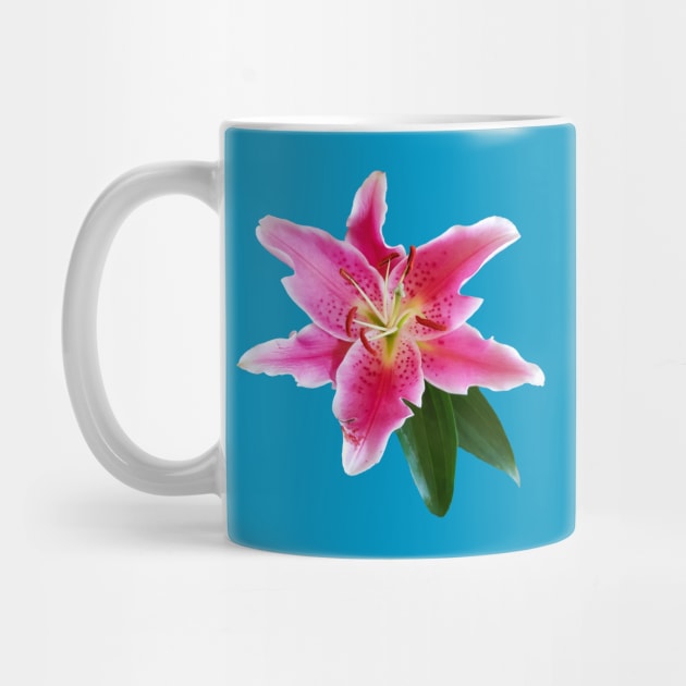 Pink Lily Flower by ellenhenryart